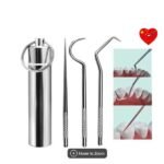 Toothpicks Portable Titanium Stainless Steel Portable Toothpicks Toothpick Oral Care